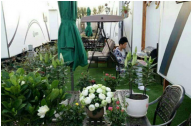 五環清新園林講堂：屋頂綠化施工技巧